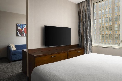 Hilton Garden Inn New York/Midtown Park Avenue - image 48
