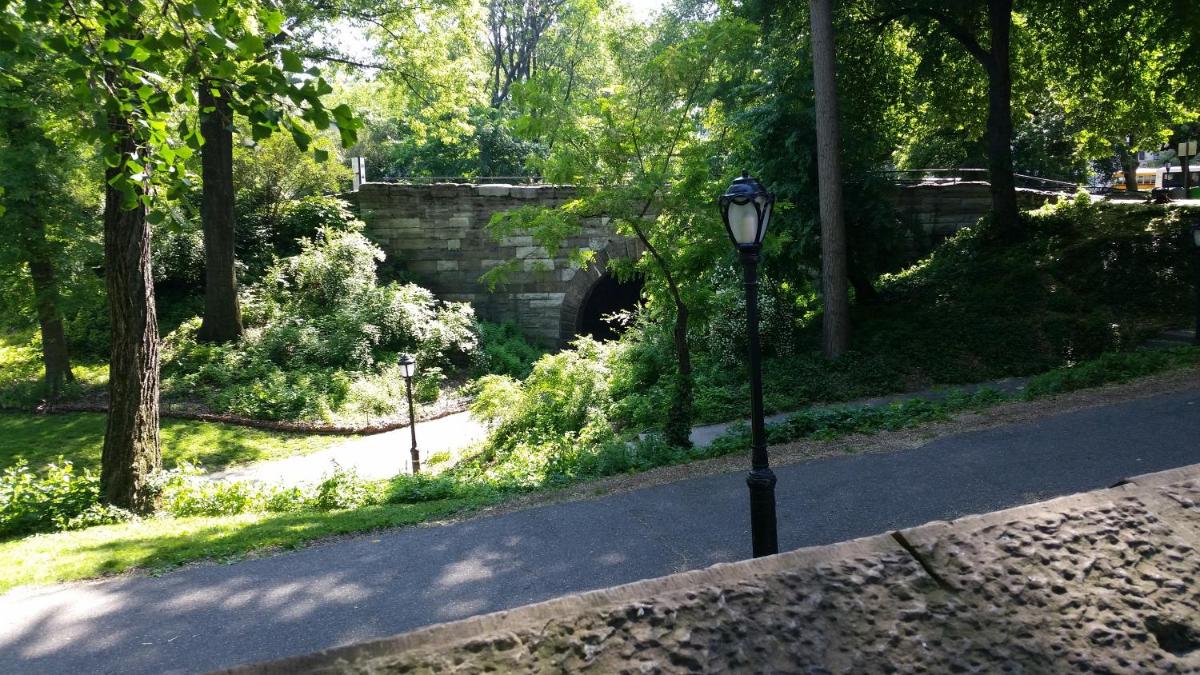 The Central Park North - image 2