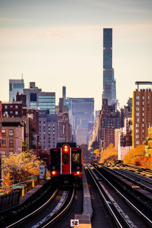 The Central Park North - image 27