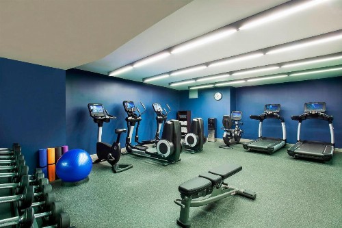 Four Points by Sheraton New York Downtown - image 9