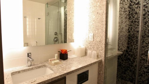 Carnegie Hotel - image 26