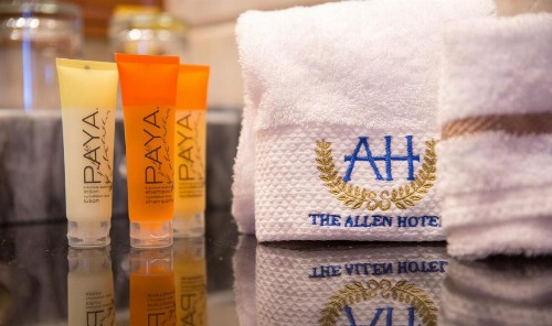 The Allen Hotel - image 3