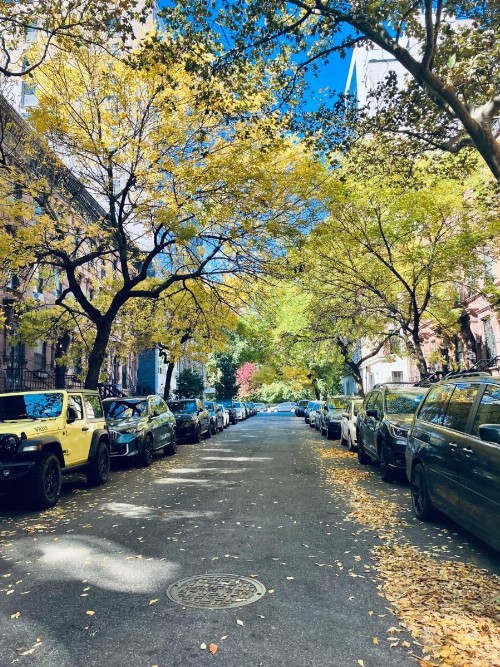 Harlem Grand - image 25