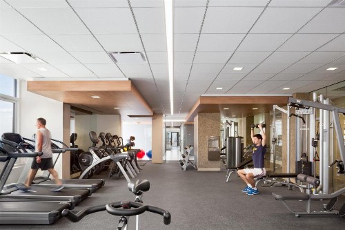Bluebird Suites in Midtown West - image 10