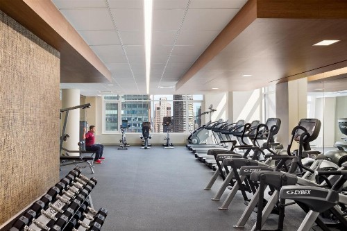 Bluebird Suites in Midtown West - image 9