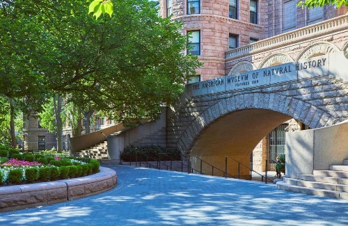 5th & 55th Residence Club - image 18