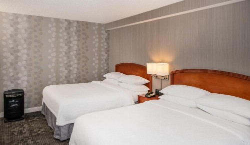 Courtyard by Marriott Newark Silicon Valley - image 4