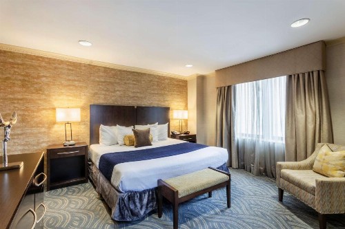 Best Western Plus Robert Treat - image 15