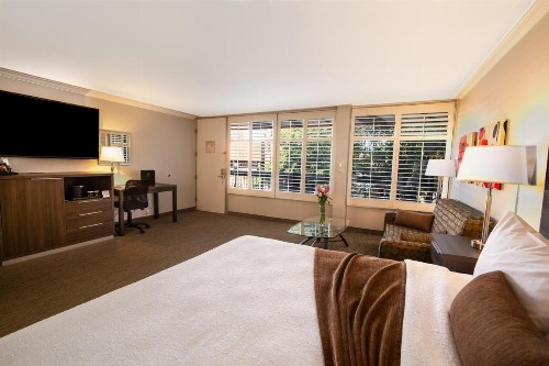 Palm Garden Hotel - image 15