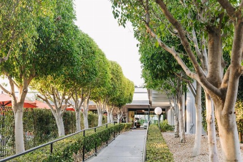 Palm Garden Hotel - image 2