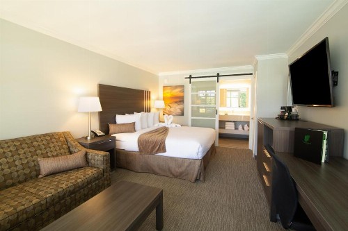 Palm Garden Hotel - image 20