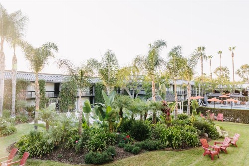 Palm Garden Hotel - image 23