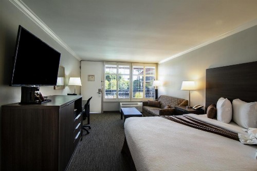 Palm Garden Hotel - image 41
