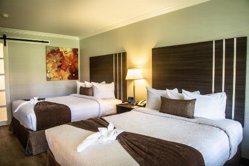 Palm Garden Hotel - image 42