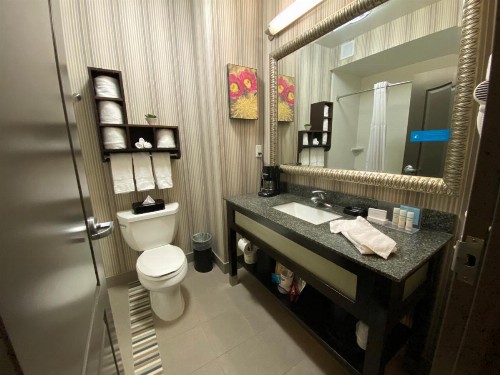 Hampton Inn Leesville - image 12