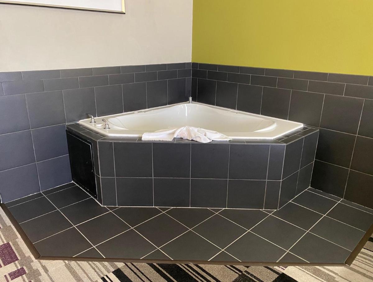 Hampton Inn Leesville - image 5