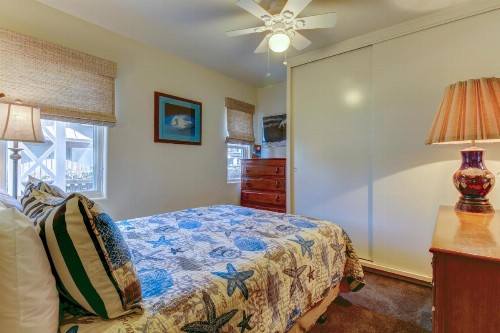 BeachNuts - image 9