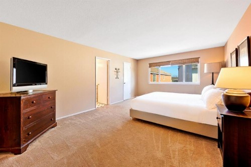 NB-206B - Newport Beach Simplicity II - image 9