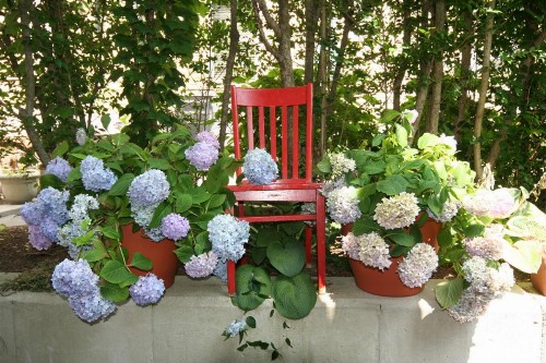 Hydrangea House Inn - image 17