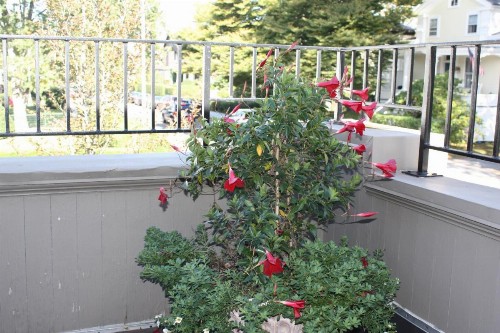 Hilltop Inn - image 11