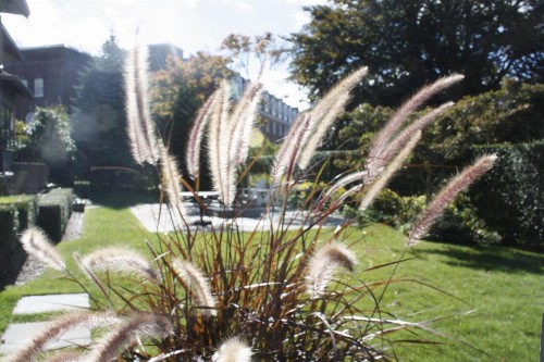 Hilltop Inn - image 6