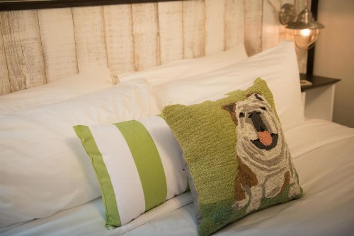 Paws on Pelham - image 42