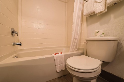 Newport Inn and Suites - image 35