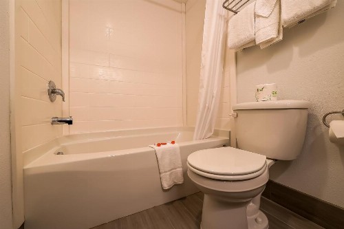 Newport Inn and Suites - image 44