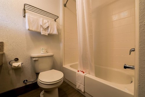 Newport Inn and Suites - image 9