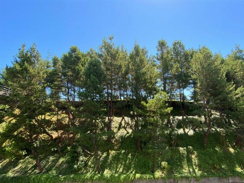 Best Western Plus Agate Beach Inn - image 25