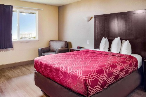 Econo Lodge Newport - image 24