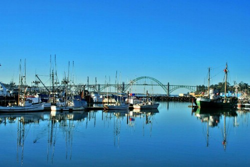 Shilo Inn Suites Newport - image 10