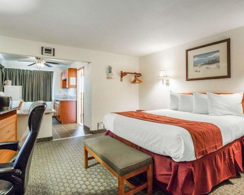 Rodeway Inn Newport - image 13