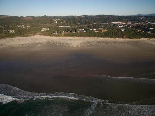 Gene's Coastal Escape - image 2