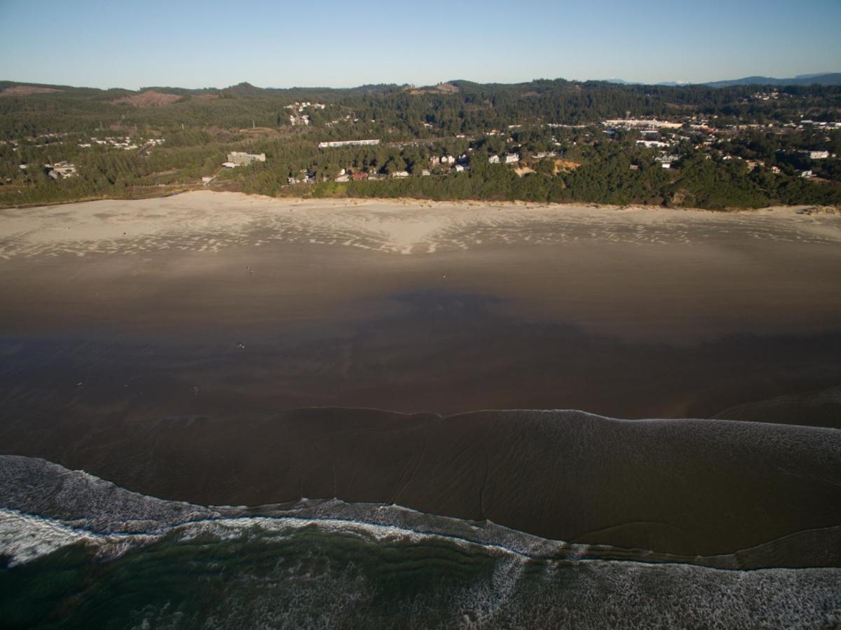 Gene's Coastal Escape - image 2