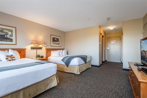 Jordan Hotel - image 16