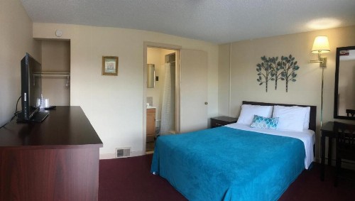 Swiss Cottage Inn - image 3