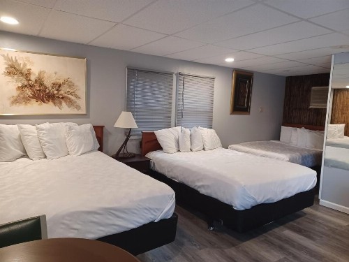 Falls Motel - image 15