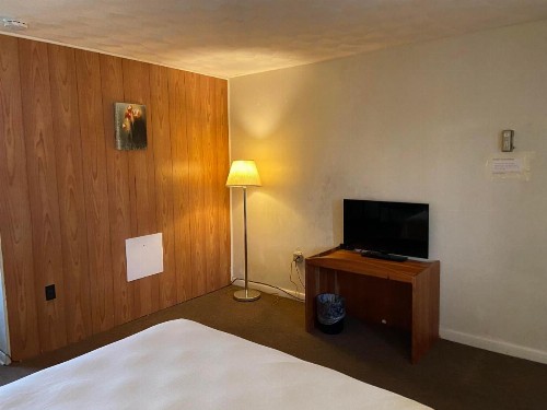 Driftwood Motel - image 21