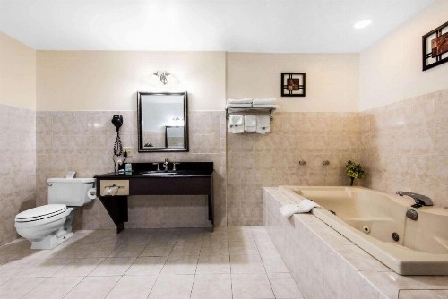 Quality Inn Niagara Falls - image 19