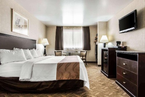 Quality Inn Niagara Falls - image 3