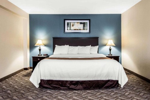 Quality Inn Niagara Falls - image 32