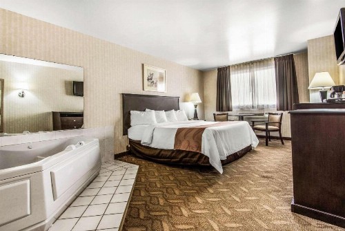 Quality Inn Niagara Falls - image 36