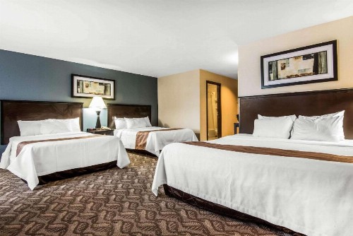 Quality Inn Niagara Falls - image 5