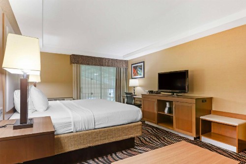 Best Western Summit Inn - image 23
