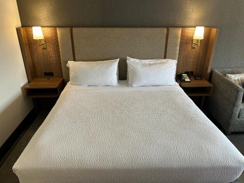 Holiday Inn Niagara Falls-Scenic Downtown an IHG Hotel - image 46