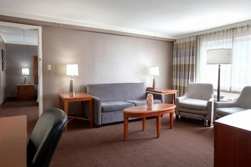 Sheraton Niagara Falls - image 10