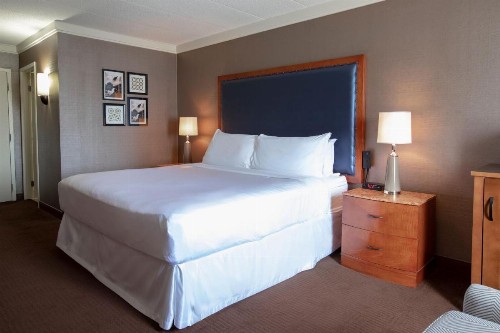 Sheraton Niagara Falls - image 34