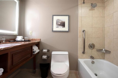 Sheraton Niagara Falls - image 39