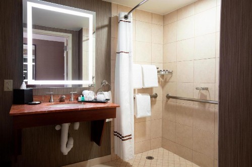 Sheraton Niagara Falls - image 40